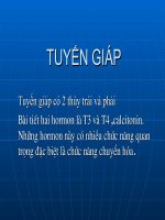 tài liệu TUYẾN GIÁP Y HỌC CỔ TRUYỀN
