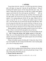 phuong phap giai phuong trinh nghiem nguyen