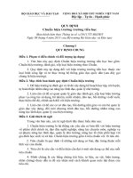 Quy định kèm TT 14 về Chuẩn HT tiểu học