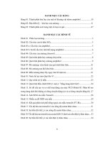 Nghiên cứu ảnh hưởng của một số anion hữu cơ đến khả năng hòa tan khoáng vật tremolit (amiang) tại mỏ xóm quýt xã yên bài, huyện ba vì