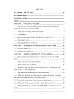 Lồng ghép chức năng sinh thái môi trường với quy hoạch tổng thể phát triển kinh tế xã hội huyện mỹ đức, thành phố hà nội