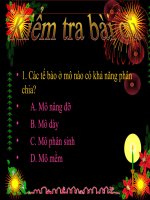 Bai 9: Cac loại rễ, cac miền của rễ