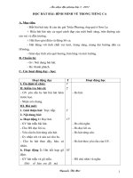 Giáo án Âm nhạc địa phương lớp 5 Sơn La