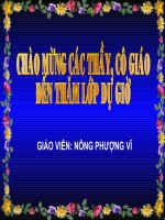 Bài 23 - Phong trào yêu nước và cách mạng