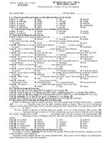 ĐỀ KIỂM TRA LỚP 9 - LẦN 2 - HK II