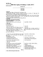 giao an 1- Tuan 32,33(CKTKN)