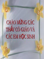 Bài 40: Hạt trần - cây thông