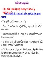 bài 23: Cây có hô hấp không