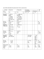 Đề thi HKII Văn 8 10-11