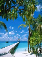 TIET 23- BAI 14 BAO VE MT VA TAI NGUYEN...T1(10-11)