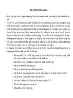 chuyên đề Hoạch định dòng tiền - dự án mở rộng