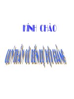 TÌM HIỂU VỀ TNXH(GIANG)