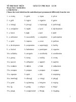 Noi dung on thi TN Tieng anh