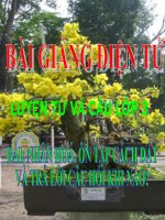 LT&C T19 NHÂN HOÁ. ÔN TẬP CÁCH ĐẶT VÀ TRẢ LỜI CÂU HỎI KHI NÀO?