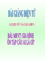 LT&C T4 MRVT: GIA ĐÌNH. ÔN TẬP CÂU AI LÀ GÌ?
