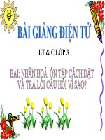 LT&C T25 NHÂN HOÁ. ÔN TẬP CÁCH ĐẶT VÀ TRẢ LỜI CÂU HỎI VÌ SAO?