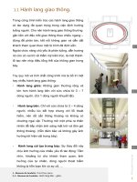 Phân loại không gian hành lang trong Bảo Tàng