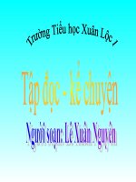 Tập đọc 3: Gặp gỡ ở Lúc-xăm-bua - Tuần 30