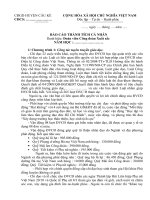 Bao cao thanh tich cong doan.