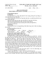 Bao cao tong ket cong tac cong doan nam học.....(Tham khao)