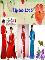 Tập đọc- Tà áo dài Việt Nam