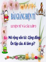 LT&C T8 MRVT: CỘNG ĐỒNG. ÔN TẬP CÂU AI LÀM GÌ?