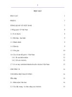 Cơ sở văn hóa Việt Nam