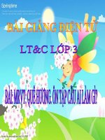 LT&C T11 MRVT: QUÊ HƯƠNG. ÔN TẬP CÂU AI LÀM GÌ?