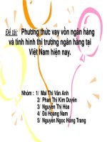 Slide nghiên cứu phương thức vay vốn