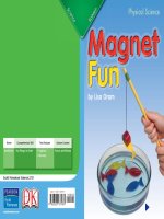 Physical science Magnet Fun