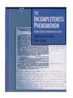 The Incompleteness Phenomenon  A New Course in Mathematical Logic