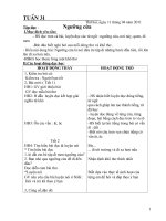 Kế hoạch bài dạy tuần 31