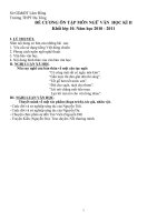 de cuong on tap van 10 HKII