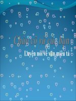 luyen noi ve van mieu ta