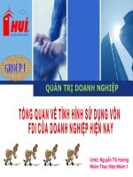 TỔNG QUAN VỀ TÌNH HÌNH SỬ DỤNG VỐN FDI CỦA DOANH NGHIỆP HIỆN NAY