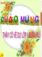 Đ Đ CẢM ƠN XIN LỖI(BÉO)