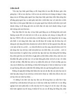 Hướng dẫn học sinh học tập khái quát lịch sử qua sơ đồ, biểu đồ