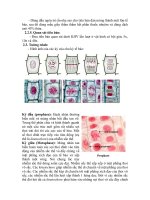 thực hành di truyen