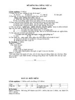 DE KIEM TRA TIENG VIET-6