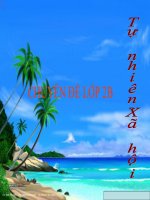 TNXH-lớp 2: Đường giao thông