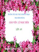 cau hoi va dau cham hoi