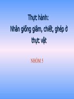 Sinh học 11: Thực hành giâm, chiết, ghép
