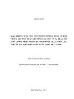“Giảm hàm lượng oxit nitơ trong piston động cơ đốt trong khi tính toán khí động lực học và sự trao đổi khối lượng nhiệt trong quá trình đốt cháy nhiên liệu khí với  kim phun nhiên liệu ở các vị trí khác nhau”.Luận án nghiên cứu giảm thành phần độc hại NO 