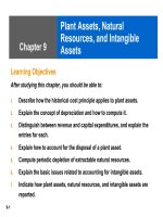 Financial accounting chapter 09 plant assets, natural resources, and intangible assets