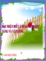 Giáo án bồi dưỡng thao giảng vật lý 7 Bài Nhận biết ánh sáng và nguồn sáng (13)