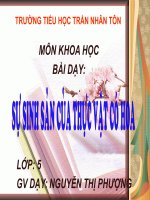 SU SINH SẢN CỦA THỰC VẬT CÓ HOA
