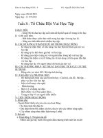 TUẦN 31- TỔ CHỨC HỘI VUI HỌC TẬP