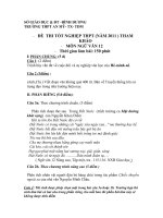 ĐE THI THU TNTHPT 2011 SÕ (ĐA)