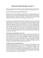 Biến áp lực thành hành động trong thi cử