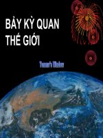 Bảy kỳ quan thế giới
